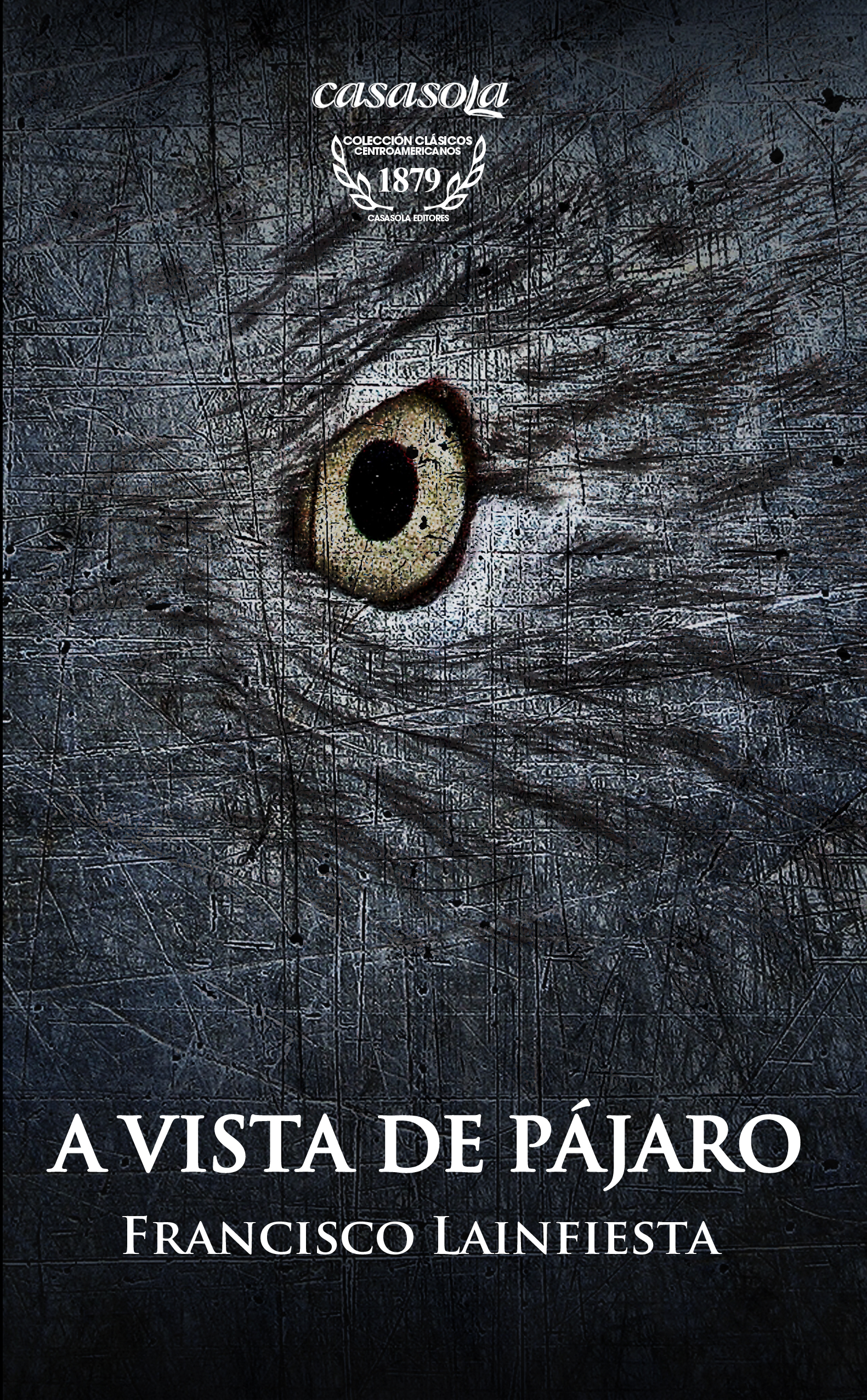 Portada de A vista de pájaro, de Francisco Lainfiesta.